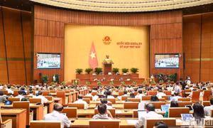 Thông cáo báo chí số 26, Kỳ họp thứ 7, Quốc hội khóa XV