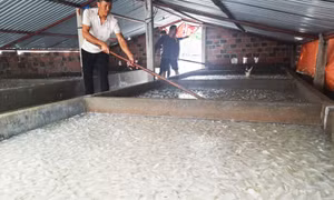 Đề nghị hỗ trợ sản xuất cho hộ gia đình, sản xuất nhỏ lẻ