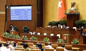 Kỳ họp thứ 7, Quốc hội khóa XV: Quốc hội thông qua Luật Đường bộ