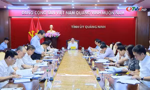 Triển khai công tác nội chính, phòng chống tham nhũng, tiêu cực, cải cách tư pháp 6 tháng cuối năm 2024