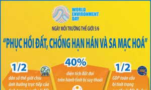 Ngày Môi trường Thế giới 5/6: Phục hồi đất, chống hạn hán và sa mạc hóa