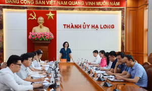 Hạ Long: Thành lập 8 tổ chức đảng trong các doanh nghiệp ngoài nhà nước