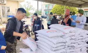 Hải Hà cấp phát 3.000 lít hoá chất và 24 tấn vôi bột phòng dịch tả lợn châu Phi