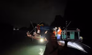 Mạnh tay xử lý tàu cá vi phạm trên vùng Vịnh