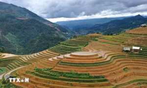 Ruộng bậc thang ở vùng cao Mù Cang Chải vào mùa nước đổ