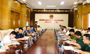 Đoàn công tác VPTT Ban Chỉ đạo 389 quốc gia làm việc với Ban chỉ đạo 389 TP Móng Cái