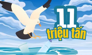 11 triệu tấn - là khối lượng rác thải nhựa đang nằm sâu dưới đáy đại dương