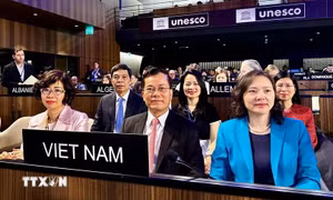 Việt Nam được bầu làm Phó Chủ tịch Đại hội đồng Công ước 2003