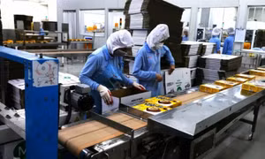 Sản xuất chịu áp lực vì chi phí đầu vào tăng