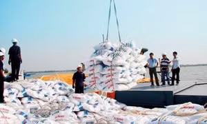 Việt Nam nhập khẩu hơn 845.000 tấn phân bón từ thị trường Trung Quốc