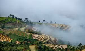 Bức tranh mùa nước đổ ở Tà Xùa, Sơn La