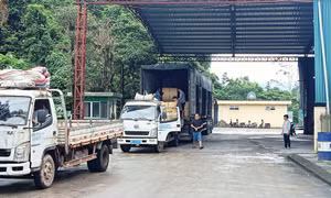 Cửa khẩu Bắc Phong Sinh: 6 tháng đầu năm, kim ngạch XNK hàng hóa tăng gần 37% so với cùng kỳ