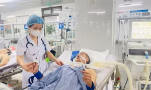 Hai người đang ngủ bị rắn cạp nia vào nhà cắn suýt chết