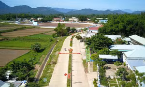 Tổng điều tra nông thôn, nông nghiệp năm 2025 vào ngày 1/7/2025