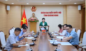 Báo cáo kết quả giám sát chuyên đề về hoạt động của Hội thẩm nhân dân