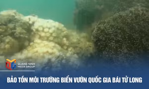 Bảo tồn môi trường biển Vườn quốc gia Bái Tử Long