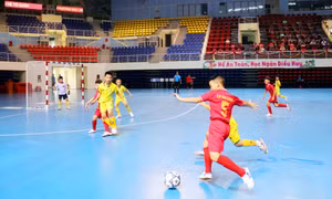 Khai mạc Giải Bóng đá thiếu niên và nhi đồng tỉnh năm 2024