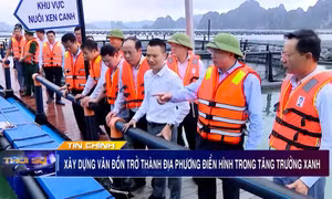 Xây dựng Vân Đồn trở thành địa phương điển hình trong tăng trưởng xanh