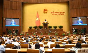 Thông cáo số 28, Kỳ họp thứ 7, Quốc hội khóa XV