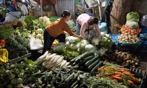 Giá cả cơ bản ổn định trong 5 tháng đầu năm