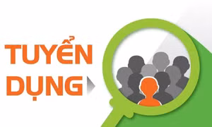 Văn phòng Tỉnh ủy thông báo về việc tiếp nhận công chức
