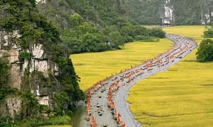 Một ngày về Tam Cốc ngắm lúa chín và mùa sen thơm ngát