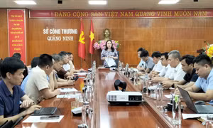 Sở Công Thương làm việc với các công ty Nhiệt điện trên địa bàn tỉnh 