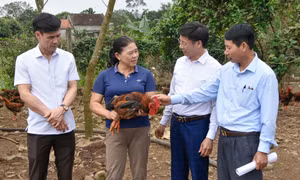 Cán bộ mặt trận làm theo lời Bác
