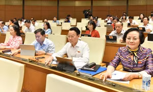 Quốc hội phê chuẩn quyết toán ngân sách nhà nước năm 2022