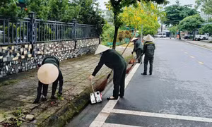 Xử lý chất thải sinh hoạt ở Hải Hà