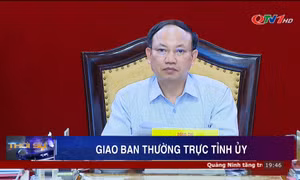 Giao ban Thường trực Tỉnh ủy