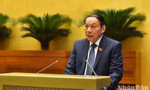 Xác định rõ quyền lợi, trách nhiệm chủ sở hữu trong bảo vệ và phát huy giá trị di sản