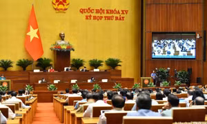 Thông cáo số 21, Kỳ họp thứ 7, Quốc hội khóa XV
