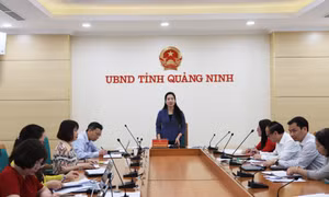 UBND tỉnh họp triển khai Thông báo của Thường trực Tỉnh ủy về mục tiêu đến năm 2025 Quảng Ninh trở thành tỉnh học tập