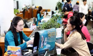 Áp lực tỉ giá dần hạ nhiệt