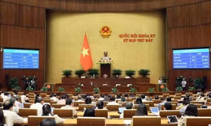 Thông qua Luật Thủ đô sửa đổi: Không cho phép biến đổi, chỉnh sửa gene người