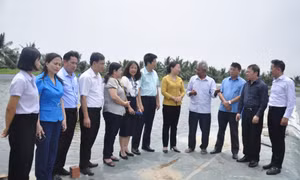 Nông dân giúp nhau tiến bộ, cùng nhau làm giàu