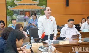 Rà soát, ban hành quy định về tiêu chuẩn kỹ thuật phòng cháy, chữa cháy phù hợp