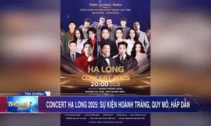 Concert Hạ Long 2025: Sự kiện hoành tráng, quy mô, hấp dẫn