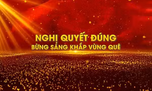 Nghị quyết đúng bừng sáng khắp vùng quê