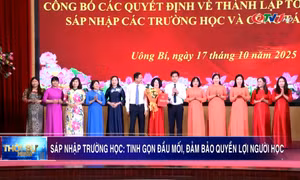 Sáp nhập trường học: Tinh gọn đầu mối, đảm bảo quyền lợi người học