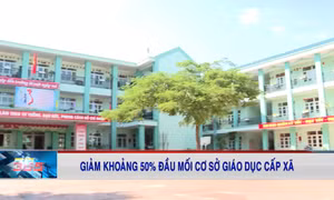 Giảm khoảng 50% đầu mối cơ sở giáo dục cấp xã