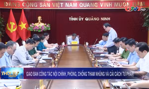 Giao ban công tác nội chính, phòng chống tham nhũng và cải cách tư pháp 9 tháng năm 2025