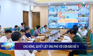 Chủ động, quyết liệt ứng phó với cơn bão số 11