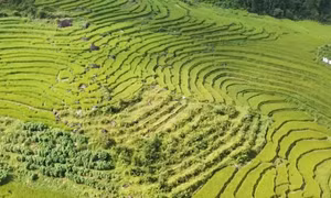 Sẵn sàng cho Hội Mùa vàng 2025