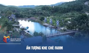 Ấn tượng Khe Chè farm