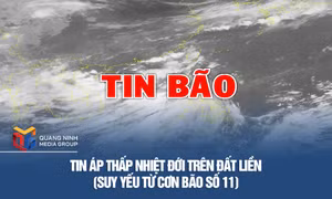 Tin áp thấp nhiệt đới trên đất liền (suy yếu từ cơn bão số 11)