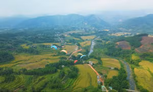 Hoành Mô vươn lên mạnh mẽ nhờ chuyển đổi số
