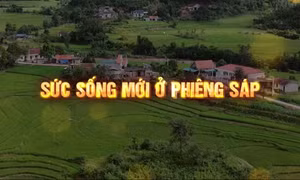 Sức sống mới ở Phiêng Sáp