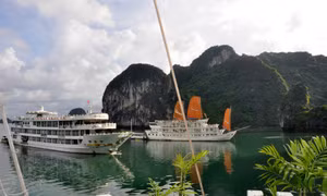 Giải bài toán chuyển đổi, thay thế tàu du lịch trên Vịnh Hạ Long
